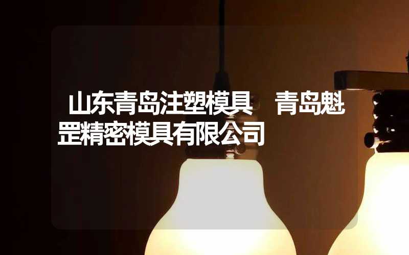 山东青岛注塑模具 青岛魁罡精密模具有限公司